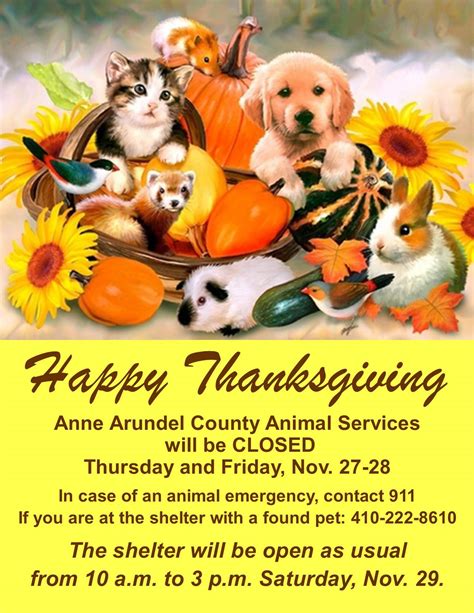 Friends of Anne Arundel County Animals | Millersville MD