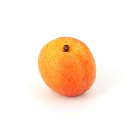 Abricot (fruits) - Académie du Goût