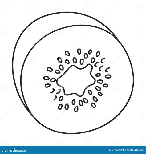 Kiwi Kiwifruit Chinese Gooseberry, Many Angles And View Side Top Front