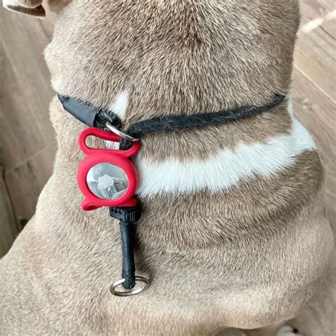 Can You Use AirTag to Track Pet Dogs and Cats?