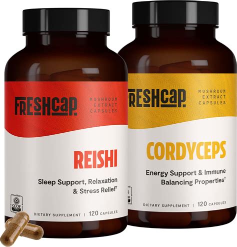 What Reishi And Cordyceps Supplements Actually Mean For Your Longevity - RYZE Superfoods
