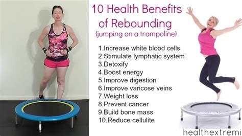 Mini Trampoline Workout For Weight Loss WorkoutWalls