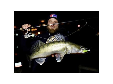 Pacote De 10 Iscas Quantum 4street B Ass Shad Worten Pt