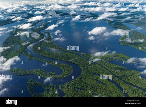 Amazon River Basin