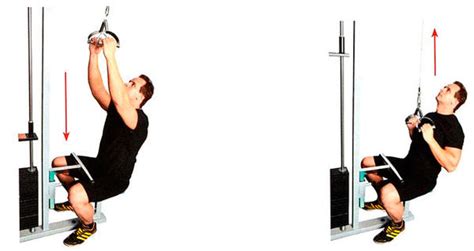 Тяга верхнего блока к груди — SportWiki энциклопедия