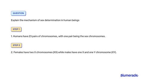 SOLVED Explain The Mechanism Of Sex Determination In Human Beings