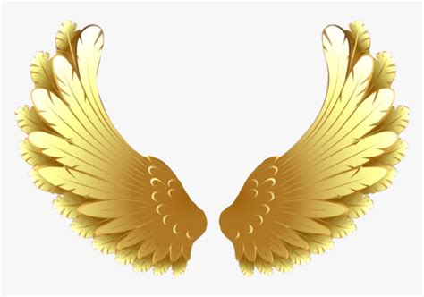 Goldwings Wings Golden Goldenwings Pretty Soft Gold Wings