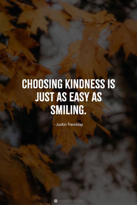 87 Kindness Quotes That Will Change You Bright Drops