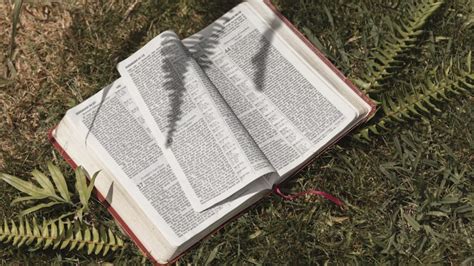 Is Watching Porn A Sin In The Bible The Holy Script