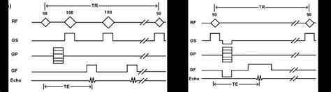 spin echo  gradient echo sequences    experiments