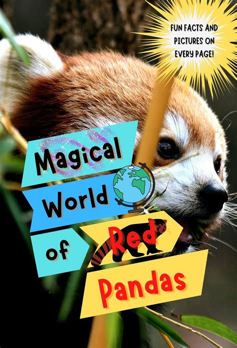 Magical World Of Red Pandas Fun Facts And Pictures About Red Pandas