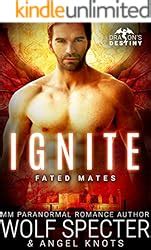 Heat M M Gay Shifter Mpreg Romance Dragon S Destiny Fated Mates Book Kindle Edition By