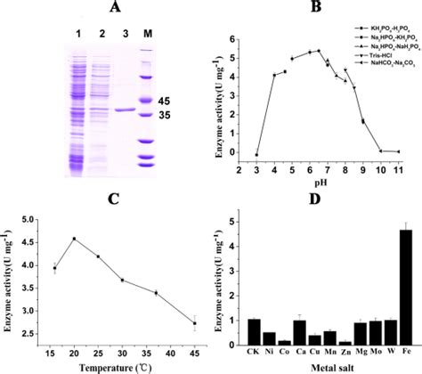 A Sds Page M Molecular Size Markers Lanes And Cell Extracts