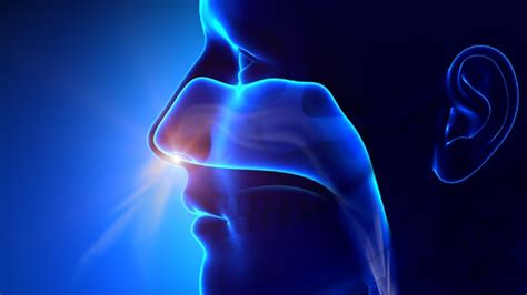 The Benefits of Nose Breathing: Top 4 Reasons You Shouldn't Be a Mouth ...