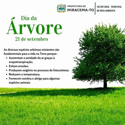 Quando É Comemorado O Dia Da Árvore - DIA DA ÁRVORE É COMEMORADO PELA SECRETARIA MUNICIPAL DE MEIO AMBIENTE ...