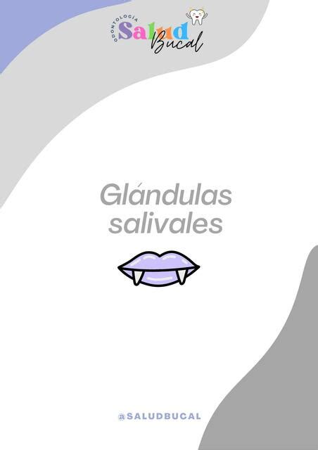 Glándulas salivales Salud bucal uDocz