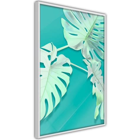 Poster Et Affiche Teal Monstera 30x45 Cm Leroy Merlin