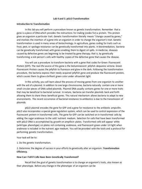 Lab 4 And 5 Pglo Protein Transformation Pdf Transformation