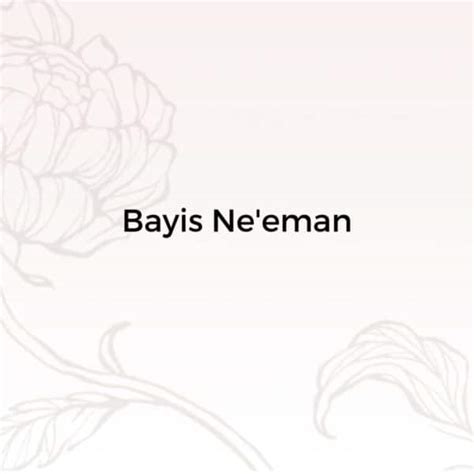 Bayis Neeman Chizuk Series