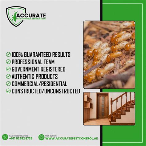 Best Pest Control Service Dubai 🏠🐜 𝐀𝐜𝐜𝐮𝐫𝐚𝐭𝐞 𝐏𝐞𝐬𝐭 By Accurate Pest