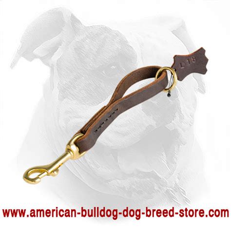 Leather Pull Tab Leash For American Bulldog L181012 Easy Fast Grab