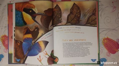 Книга: Я бабочка - Елизавета Зорина. Купить книгу, читать рецензии ...
