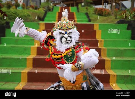 Detail Gambar Hanoman Putih Koleksi Nomer 49