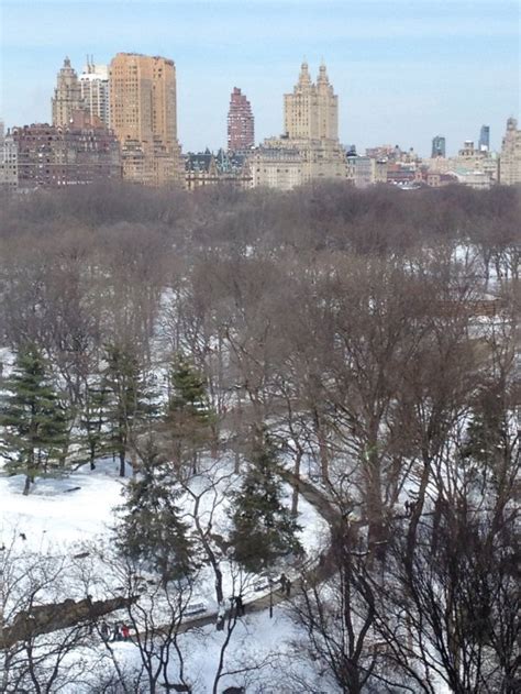 Snowy Central Park - NYC Single Mom