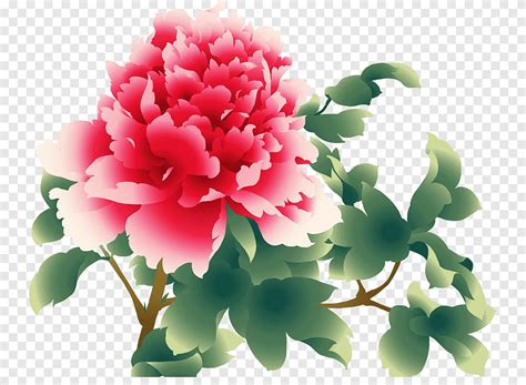 Moutan Peony Peony Color Annual Plant Png PNGEgg