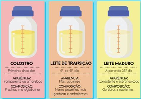 Leite Materno Durante O Dia E Fórmula A Noite