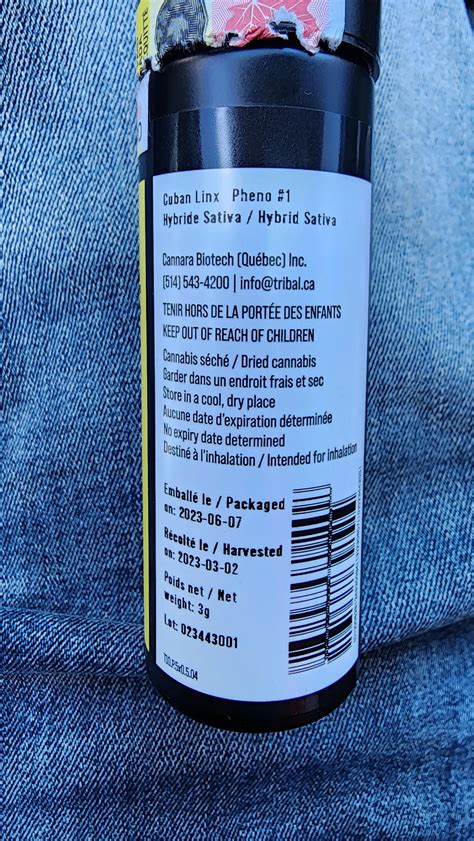 How the dawes rolls search by name uncovers tribal history 15