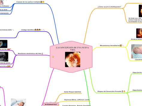 LA CONCEPCIÓN DE UNA NUEVA VIDA Mind Map