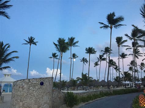 Pin by Femme_Fae on Punta Cana | Plants, Garden, Punta cana