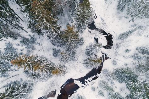Birds Eye View Of Small River In Snowy Forest Stock Photo Image Of