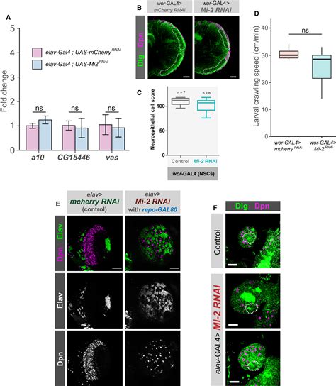 Nurdindependent Mi Activity Represses Ectopic Gene Expression During