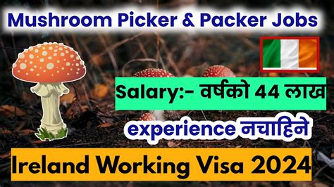 Ireland Working Visa For Nepali How To Apply Ireland Work Visa From