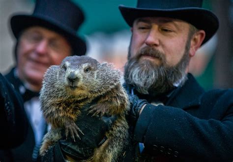 Groundhog Day 2020 Guide Punxsutawney Phil Facts Tips For Going To Gobblers Knob And More