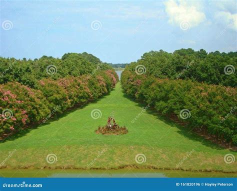 Norfolk Virginia Botanical Gardens Landscape Trees Stock Photo Image