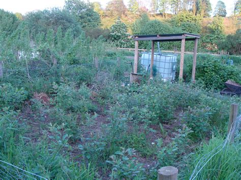Felt Witch Heart Shaped Pussy Willow Wreath