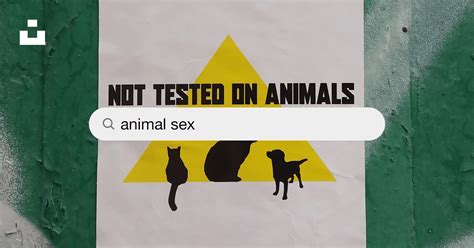 Animal Sex Pictures | Download Free Images on Unsplash