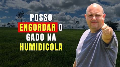 POSSO ENGORDAR O GADO NA HUMIDICOLA PROF MARCELO COSTA YouTube