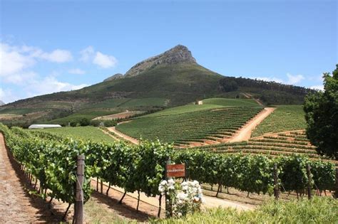 Hike Addicts - Stellenbosch Wine Tour in the Cape Winelands