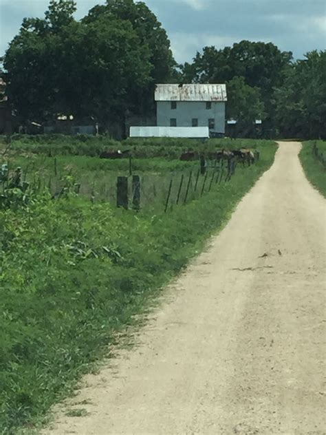 Airbnb Ethridge Tn at Caitlin Grimmett blog