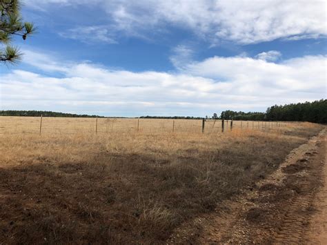 New Waverly Texas