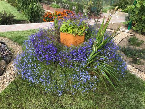 Металлические разборные грядки любого цвета!