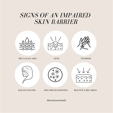 The Skin Barrier Explained The Clinic Skin Health