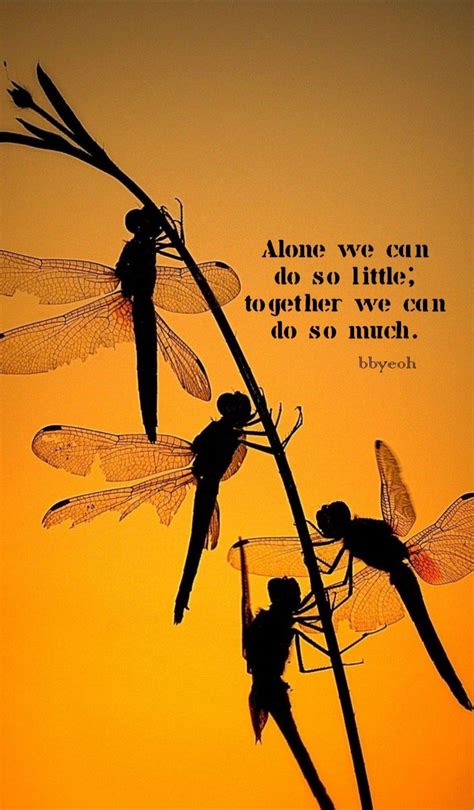 Pin By Brenda On Dragonflies Cute Images With Quotes Happy Good