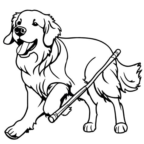 Golden Retriever Carrying Stick Lulu Pages