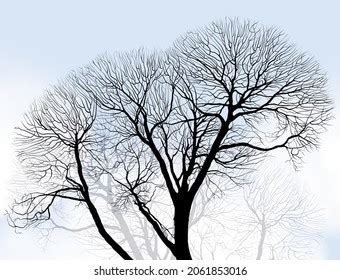 Watercolor Naked Tree Images Stock Photos Vectors Shutterstock