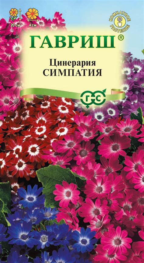 Семена Цинерария гибридная Симпатия, смесь, 8шт, Гавриш по цене 38 руб ...